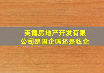 英博房地产开发有限公司是国企吗还是私企