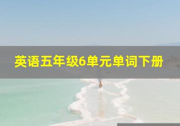 英语五年级6单元单词下册