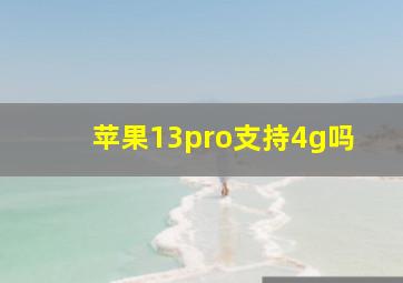 苹果13pro支持4g吗