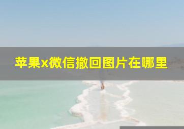 苹果x微信撤回图片在哪里