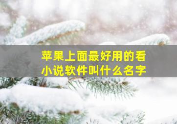 苹果上面最好用的看小说软件叫什么名字