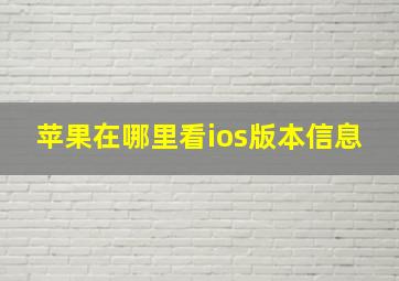 苹果在哪里看ios版本信息