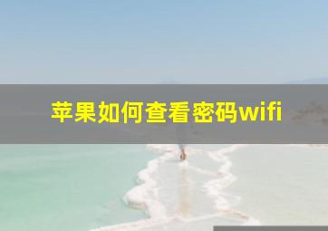 苹果如何查看密码wifi