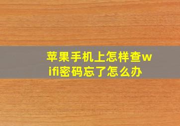 苹果手机上怎样查wifi密码忘了怎么办