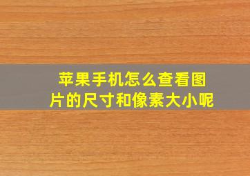 苹果手机怎么查看图片的尺寸和像素大小呢