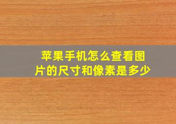 苹果手机怎么查看图片的尺寸和像素是多少