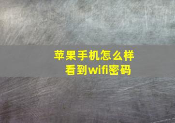 苹果手机怎么样看到wifi密码