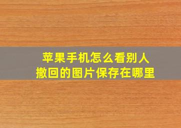 苹果手机怎么看别人撤回的图片保存在哪里