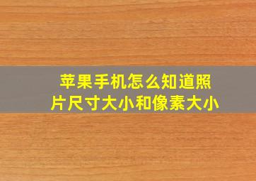 苹果手机怎么知道照片尺寸大小和像素大小