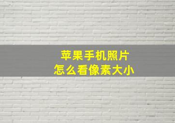 苹果手机照片怎么看像素大小