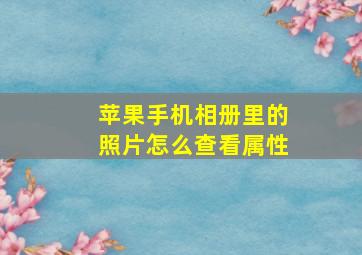 苹果手机相册里的照片怎么查看属性