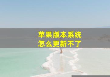 苹果版本系统怎么更新不了