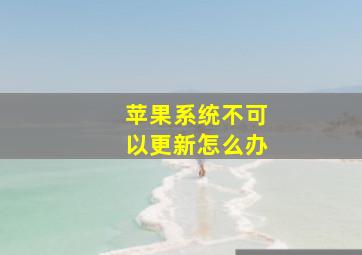 苹果系统不可以更新怎么办