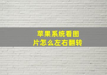 苹果系统看图片怎么左右翻转