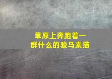 草原上奔跑着一群什么的骏马素描