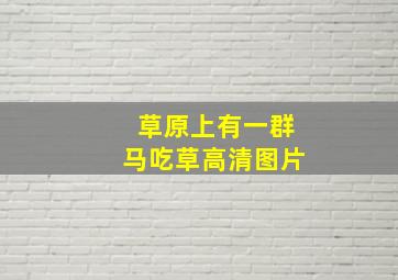 草原上有一群马吃草高清图片