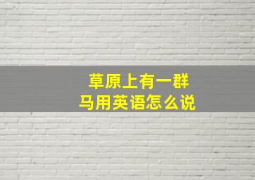 草原上有一群马用英语怎么说