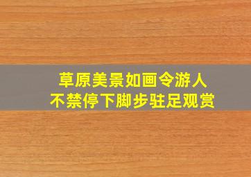 草原美景如画令游人不禁停下脚步驻足观赏