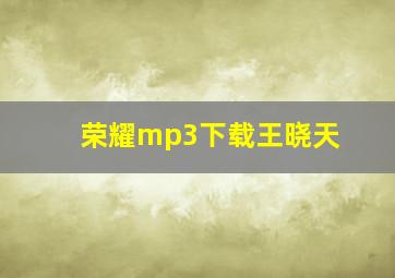 荣耀mp3下载王晓天