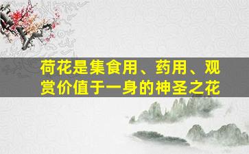 荷花是集食用、药用、观赏价值于一身的神圣之花