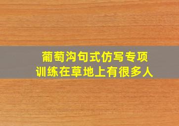 葡萄沟句式仿写专项训练在草地上有很多人