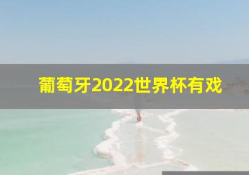 葡萄牙2022世界杯有戏