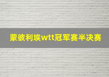 蒙彼利埃wtt冠军赛半决赛