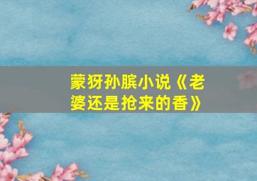 蒙犽孙膑小说《老婆还是抢来的香》