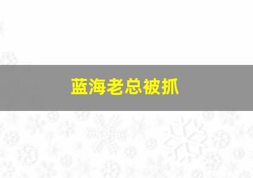 蓝海老总被抓