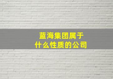 蓝海集团属于什么性质的公司