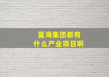 蓝海集团都有什么产业项目啊