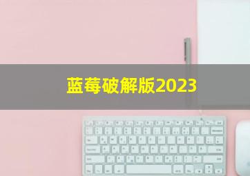 蓝莓破解版2023