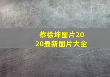 蔡徐坤图片2020最新图片大全