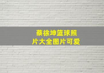 蔡徐坤篮球照片大全图片可爱