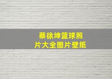 蔡徐坤篮球照片大全图片壁纸