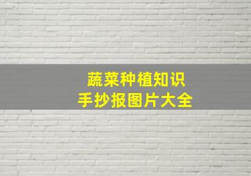 蔬菜种植知识手抄报图片大全