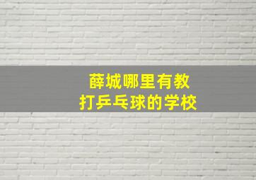 薛城哪里有教打乒乓球的学校