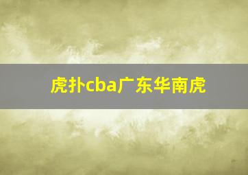 虎扑cba广东华南虎