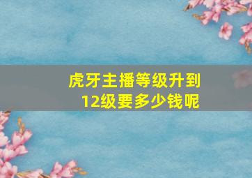 虎牙主播等级升到12级要多少钱呢