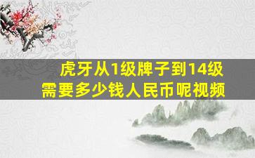 虎牙从1级牌子到14级需要多少钱人民币呢视频