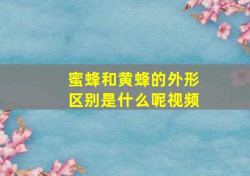 蜜蜂和黄蜂的外形区别是什么呢视频