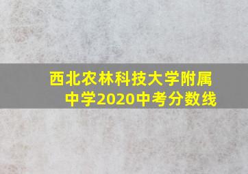 西北农林科技大学附属中学2020中考分数线