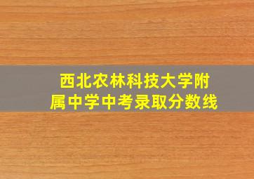 西北农林科技大学附属中学中考录取分数线