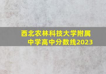 西北农林科技大学附属中学高中分数线2023