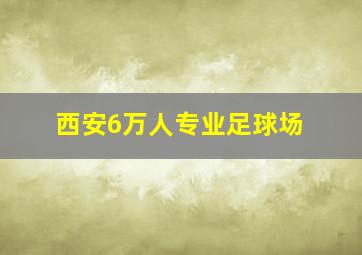 西安6万人专业足球场