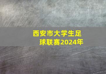 西安市大学生足球联赛2024年