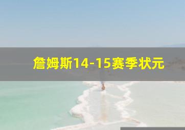 詹姆斯14-15赛季状元