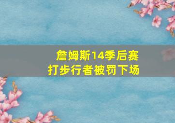 詹姆斯14季后赛打步行者被罚下场