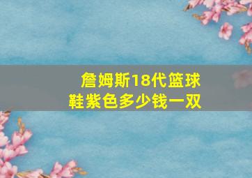 詹姆斯18代篮球鞋紫色多少钱一双