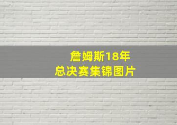 詹姆斯18年总决赛集锦图片